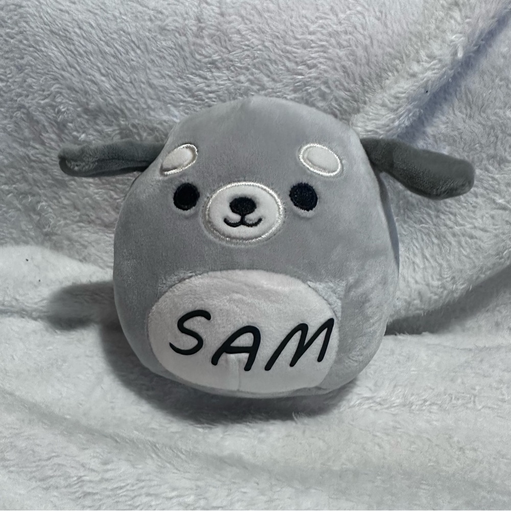 "Sam" - Personalized Mini Squishmallow